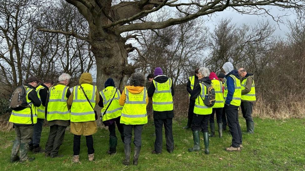 The Lost Woods volunteers out mapping ancient trees in the Lost Woods of the Low Weald and Downs area.