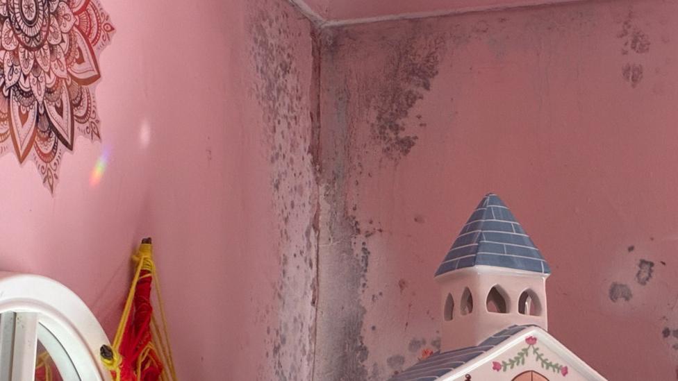 A pink room with mould on the walls