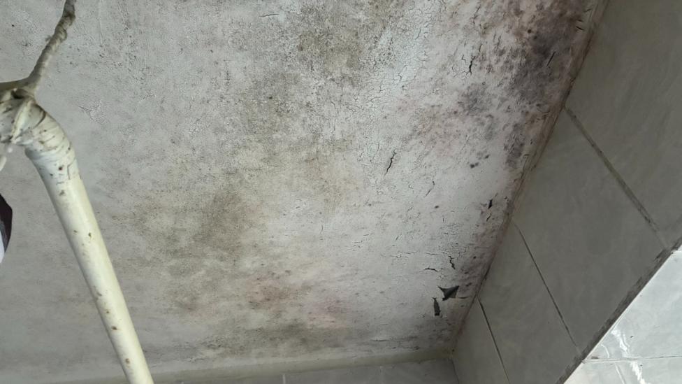 A white, greying ceiling with mould and flaking paint