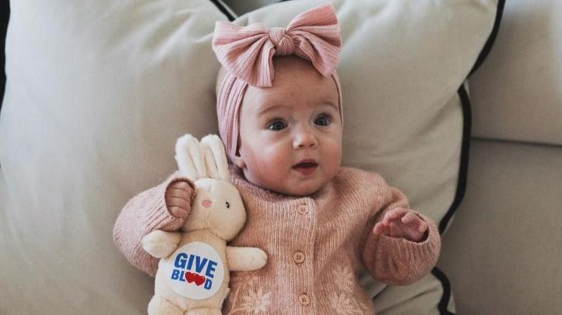 Millie wearing a pink jumper and bow. She is sitting on a sofa holding a rabbit soft toy.