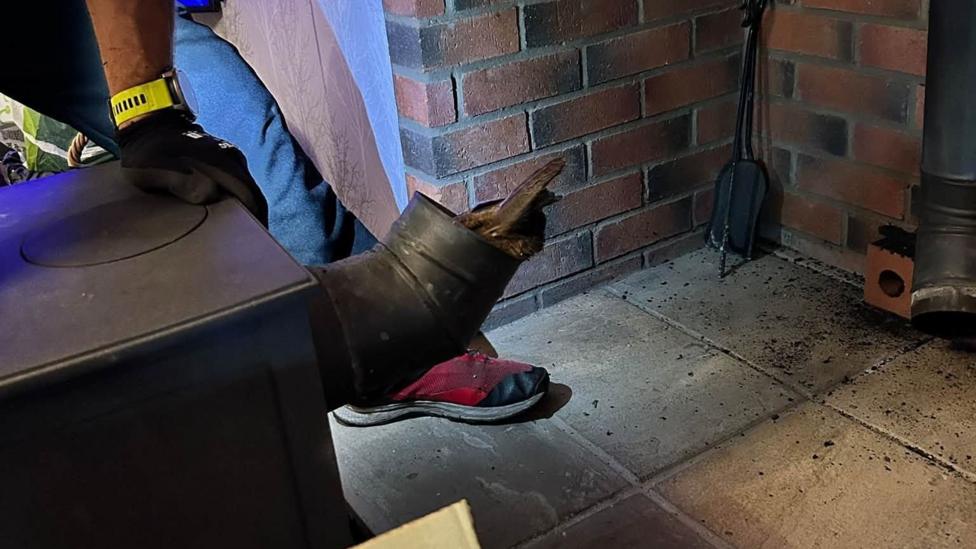 A section of stove flue pipe has been removed beside a brick fireplace, revealing an owl lodged inside the pipe. Part of the owl's body and tail feathers are visible protruding from the pipe opening while a person kneels nearby during the rescue. An open cardboard box sits in the foreground, and fireplace tools and scattered soot can be seen on the tiled floor.