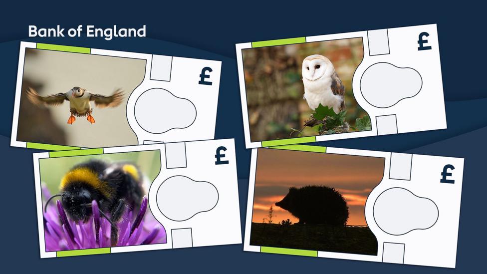 Undated handout photo issued by Bank of England of mock ups of the new bank notes. The Atlantic puffin, barn owl, buff-tailed bumblebee and European hedgehog will feature on the next series of banknotes, the Bank of England has announced. The first denomination from the new series will be launched over the next few years, the Bank said