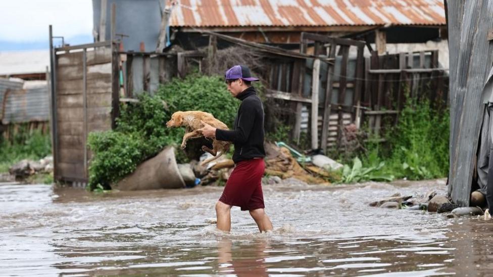 A man rescues a dog amidst flooding caused by heavy rains and the rising Mapocho River in the Talagante commune on 7 October 2026. The man, who is wearing red shorts and a long-sleeved black T-shirt and a baseball cap, carries the medium-sized dog to safety. The flood waters is half way up his calves.