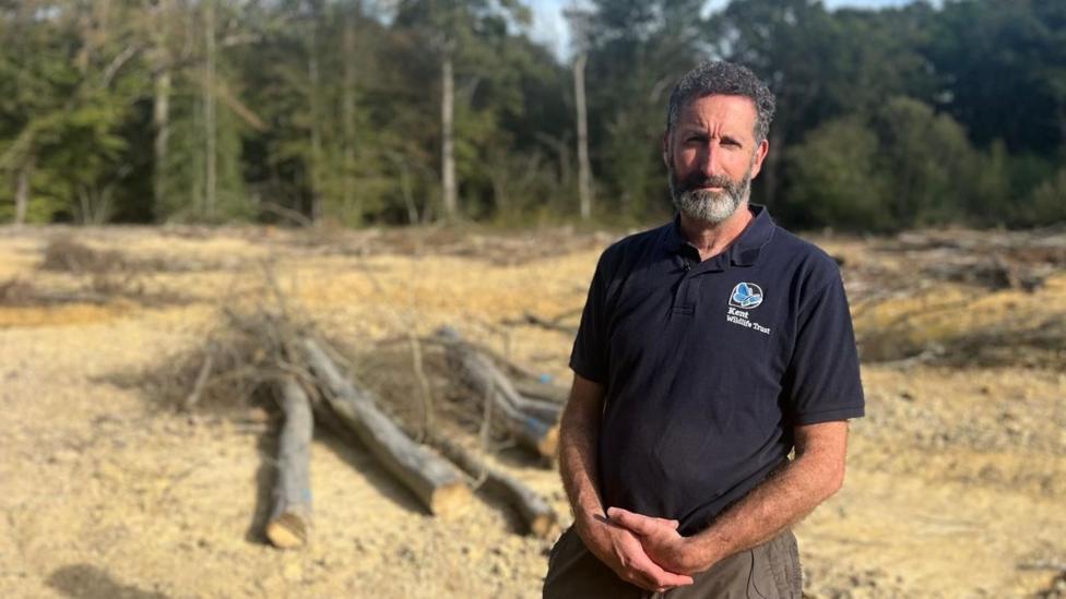 A bearded Ian Rickards faces the camera, wearing a navy polo shirt with the Kent Wildlife Trust logo on the breast and with his hands clasped in front of him. He is standing in a clearing in the woods, on sandy-looking ground where cutdown trees are lying. Behind him is the treeline.