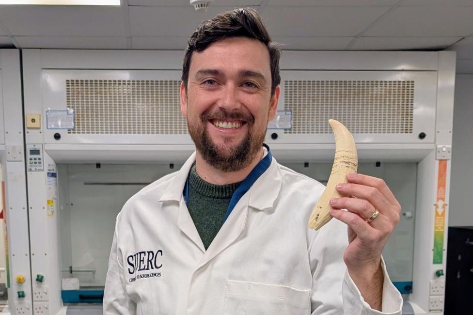 Dr Kieran Tierney of SUERC - Centre for the Isotope Sciences is holding a large, ivory-coloured tooth. Dr Tierney is wearing a white lab coat and is standing in a lab.