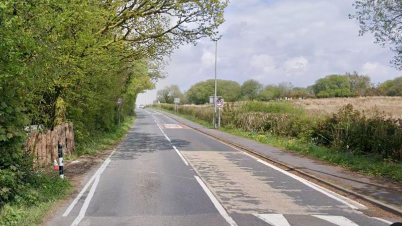 Access to the site with the cabin and rare animals is via a track off the A476, near Llannon, shown by the wooden stockade (left). 