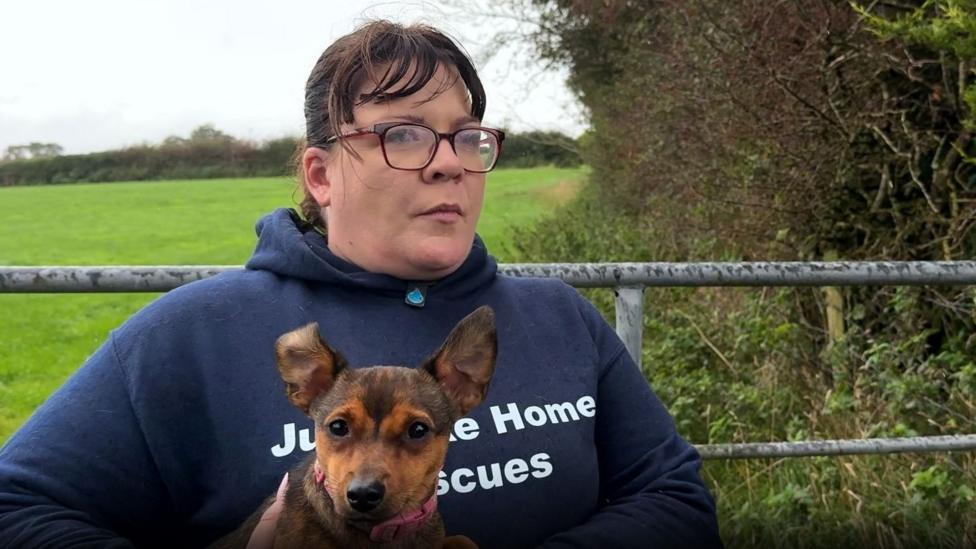 Kerry wears a navy hoodie and holds a small dog with tall ears. A gated field is behind them.