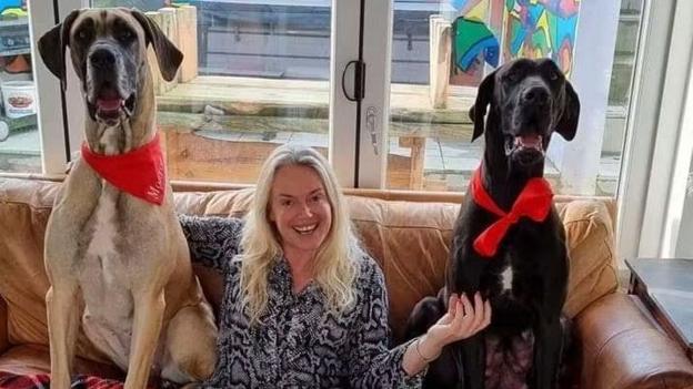 Joanne has white hair and sits on a brown sofa between two tall Great Danes, one fawn and the other black.