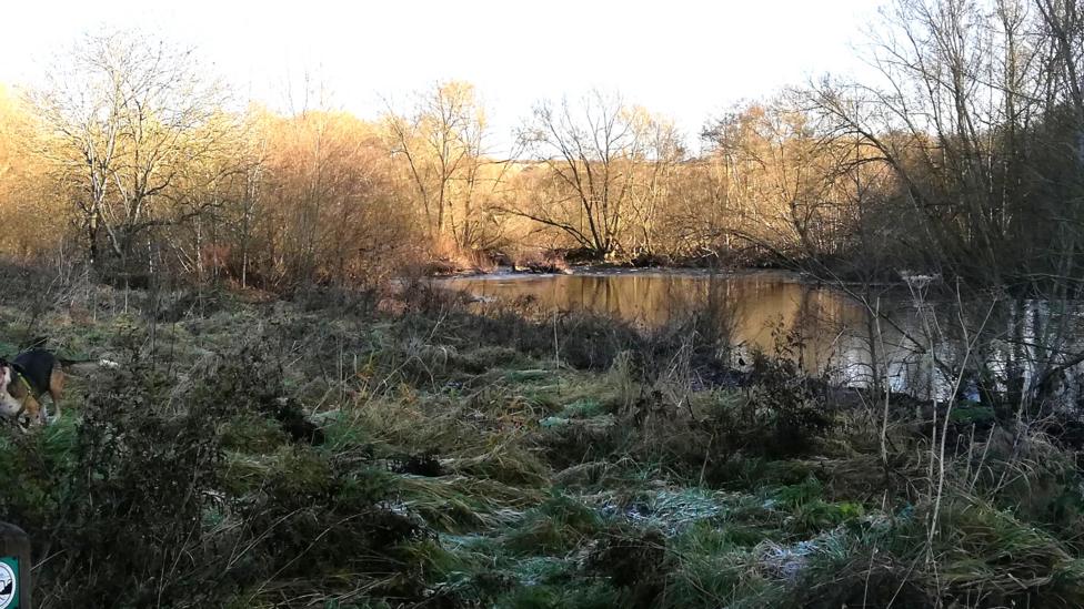 The swampy pool near Cefn Viaduct which Misty emerged from covered in oily iridescent orange deposits.