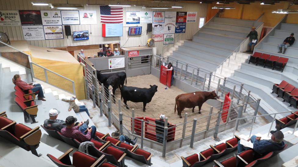 Several buyers sit on tiered bench seats for an indoor cattle auction