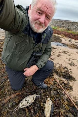 Martin Gray is an older man with white hair and beard. He is wearing a green outdoor jacket and black trousers. He is kneeling down on a beach and there are two dead guillemots at his feet.