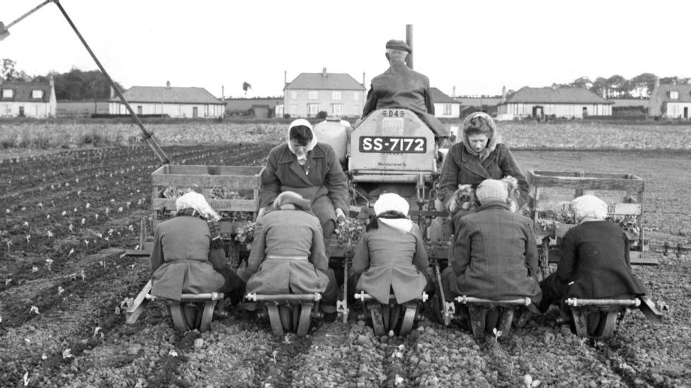 Five people sitting in a row on the back of a tractor are planting seedlings into the ground as the machine moves forward.