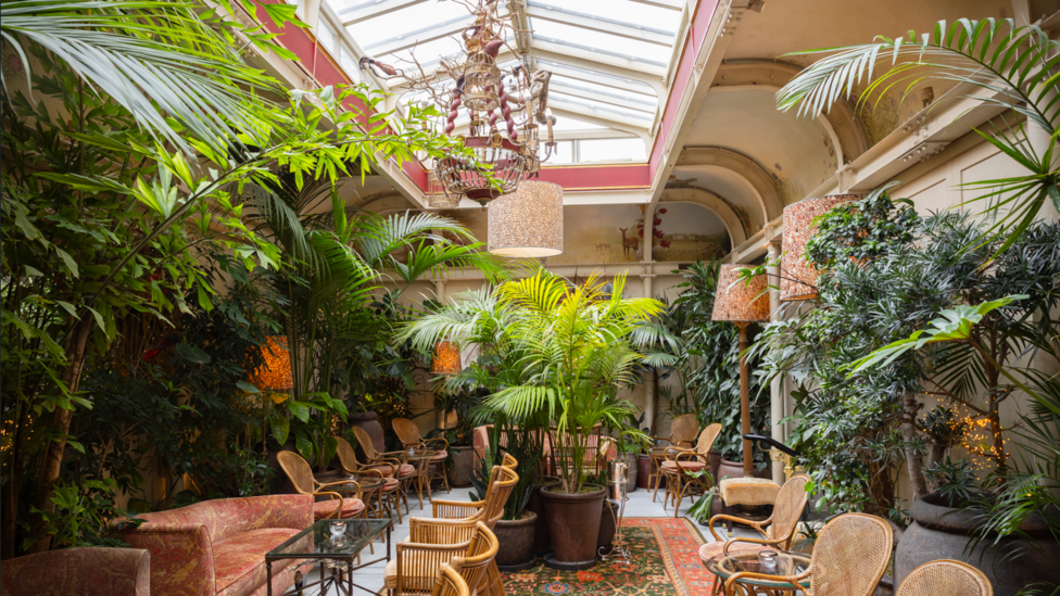 A restaurant space with a central peaked glass ceiling, ornate chandelier and large leafy tropical plants lining the walls. The furniture is a mix of cane chairs and sofas in a light red brocade and the central floor area has a Persian style rug.