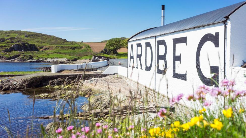 Ardbeg whisky distillery on the Isle of Islay, Scotland, beside a rocky shoreline. The white waterfront building features large black “ARDBEG” lettering, with wildflowers in the foreground and green hills under a clear blue sky in the background.
