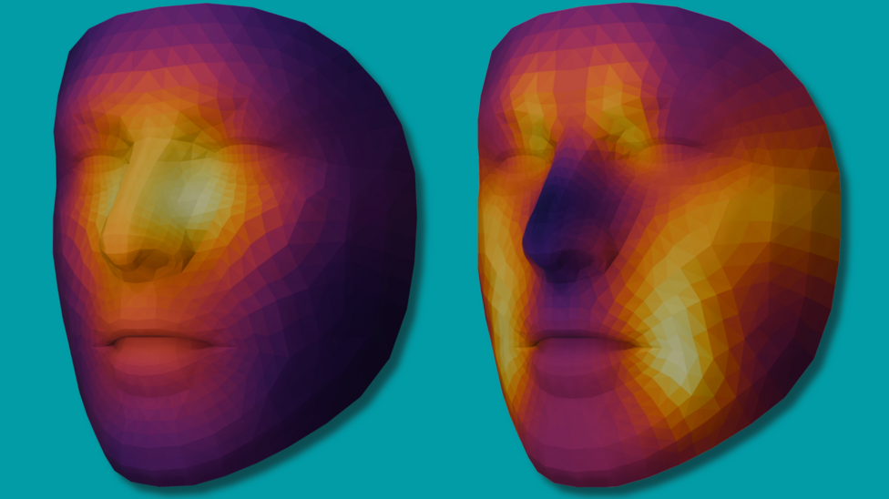 The image shows a computer graphic of two faces, one for each AI model, and depicts which facial features appear to be most important for assessing biological age and survival, using a heat map colour code. 