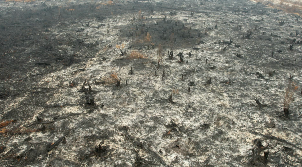 An aerial shot of charred ground devoid of trees or any vegetation.