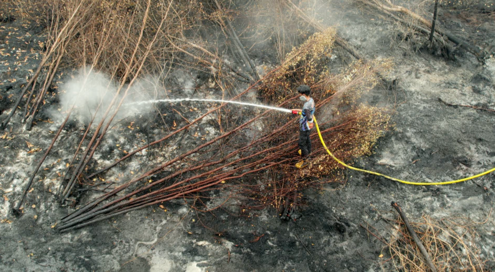 A firefighter trying to put out a fire while surrounded by dried, dead trees on charred lands.