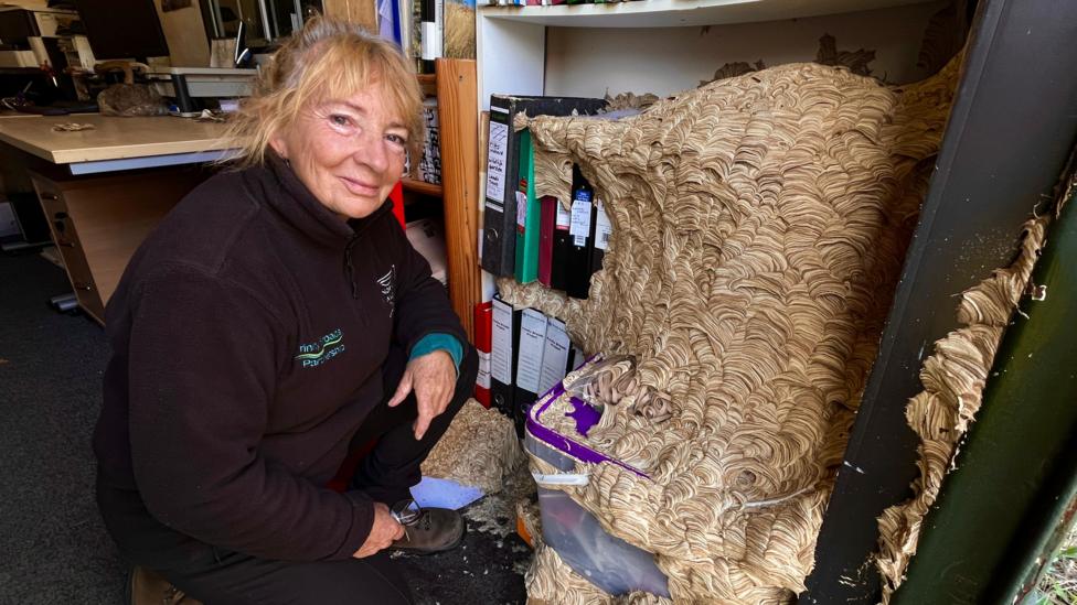 A woman with blonde hair is crouching next to a shelf which has a large wasps' nest on it. The woman is wearing a black fleece and is smiling.