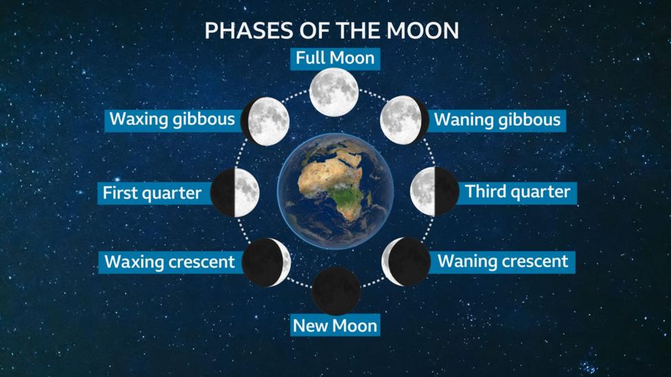 Earth in the centre of the image with eight moons surrounding it at various phases in the lunar cycle - new Moon, waxing crescent, first quarter, waxing gibbous, full Moon, waning gibbous, third quarter and waning crescent