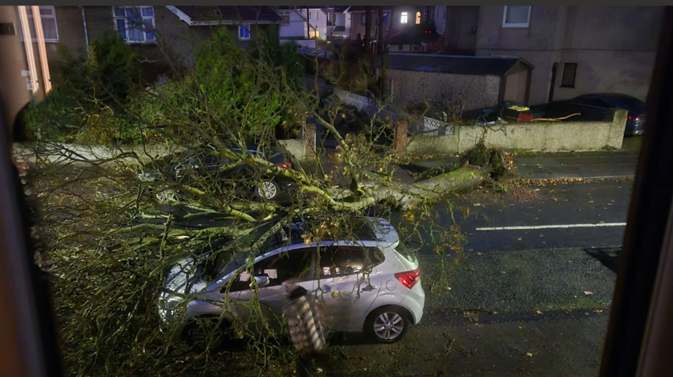 A silver car parked at the side of the road with a large tree on top of it. It has been uprooted from the other side of the road and there are houses in the background.