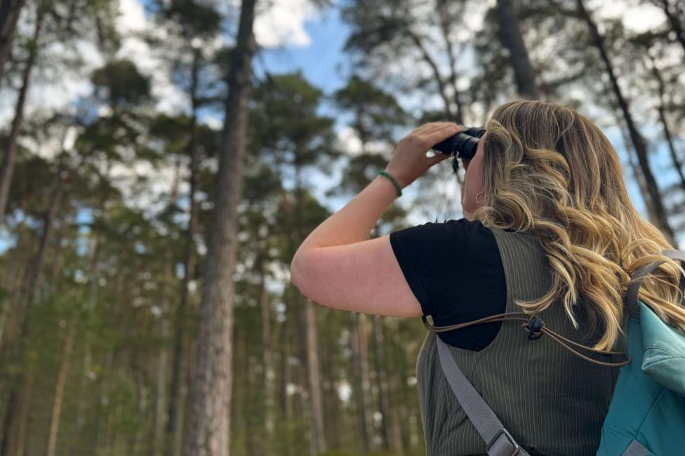Caitlin Andrew has her back to the camera as she looks up towards a forest canopy with a pair of binoculars.