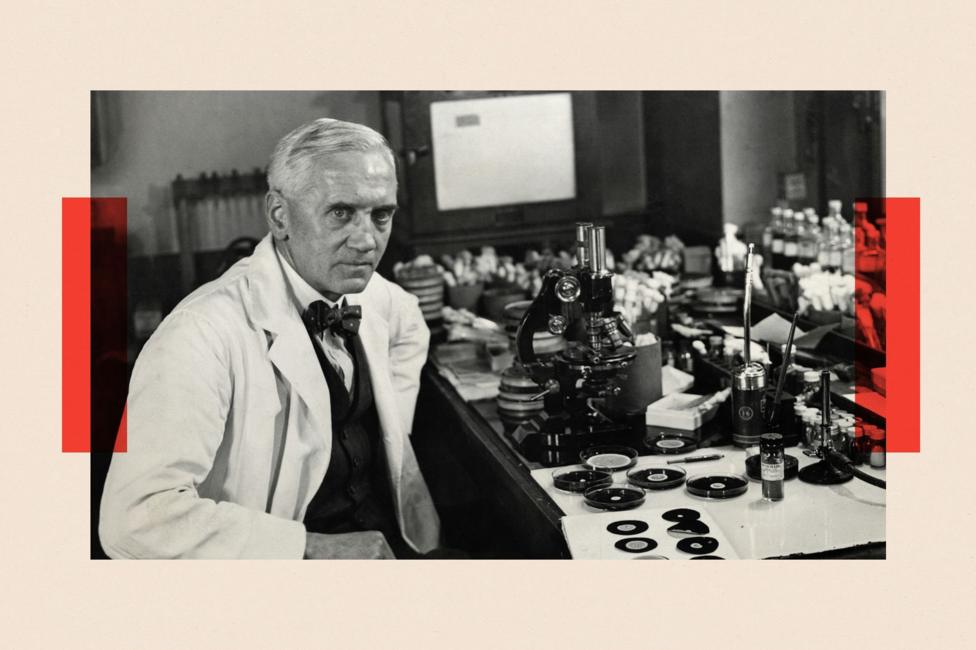 Professor Fleming, Scottish bacteriologist, in his laboratory, 1943