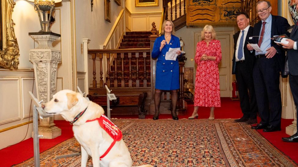 A demonstration involving a Medical Detection Dog at Clarence House. The room features red carpeting, a patterned rug, gold-framed mirrors, decorative woodwork, and antique furnishings. Warm indoor lighting illuminates the room.