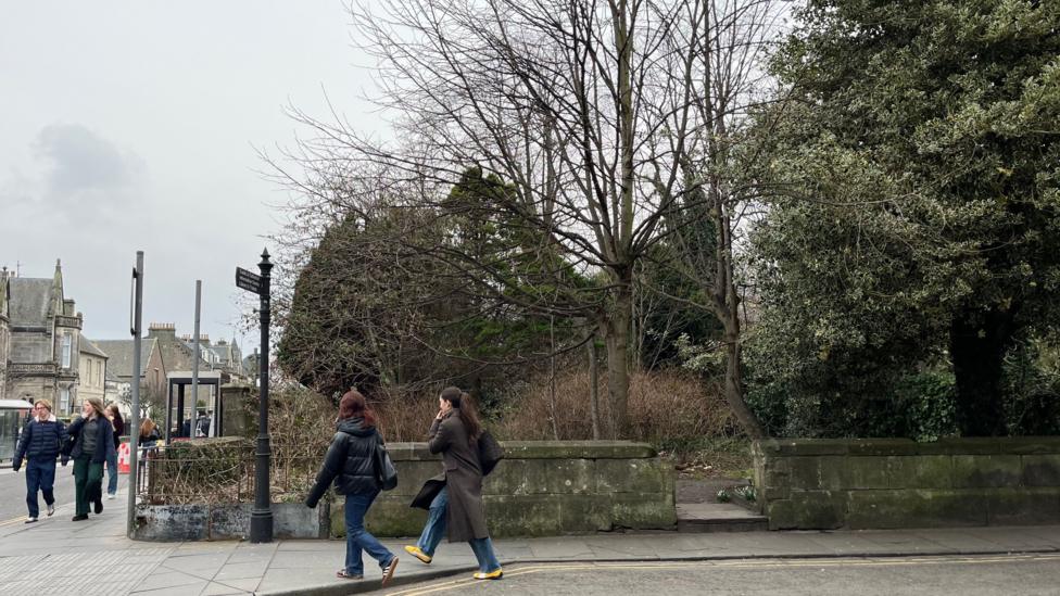 several people walking past a walled area full of overgrown trees