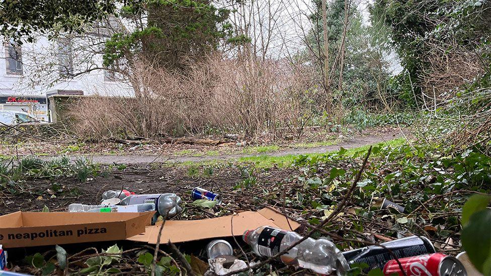 Litter - empty plastic bottles and pizza box - strewn across waste ground. There are shrubs and trees in the background.