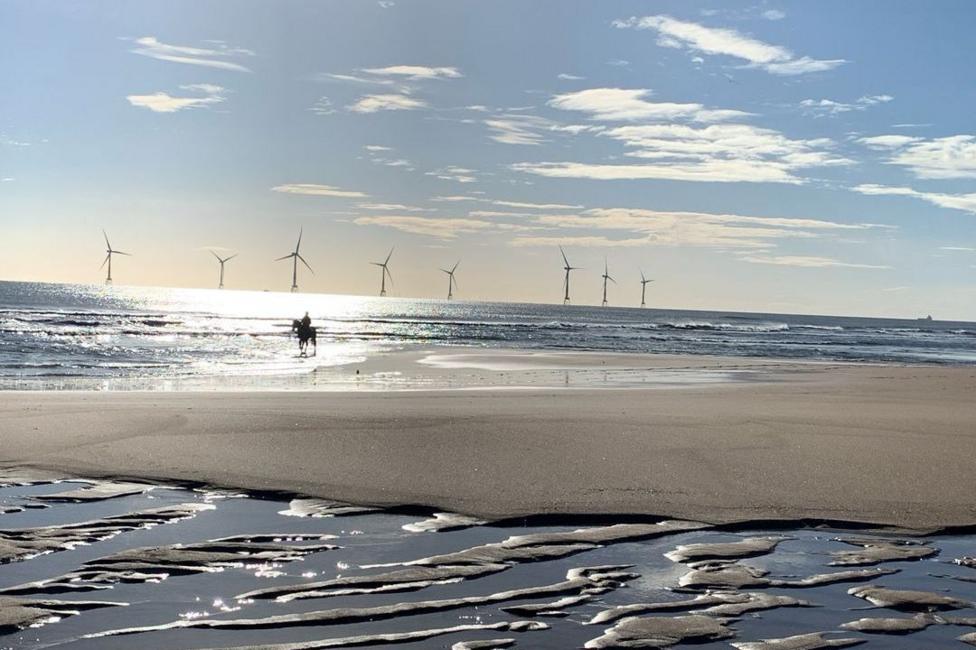 A lone horse and rider on a deserted beach, the sun is shining, and eight wind turbines can be seen in the distance out to sea.