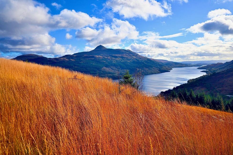 Loch Lomond stretching into the distance, with golden mountain grass in the foreground.