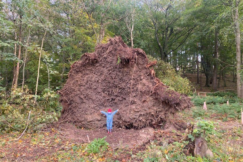 A young boy standing next to an enormous uprooted tree after a storm.
