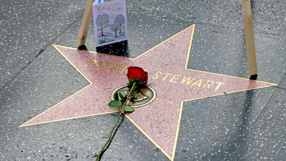 A single red rose lies on a Hollywood star for Sir Patrick Stewart. A card stands next to the star.